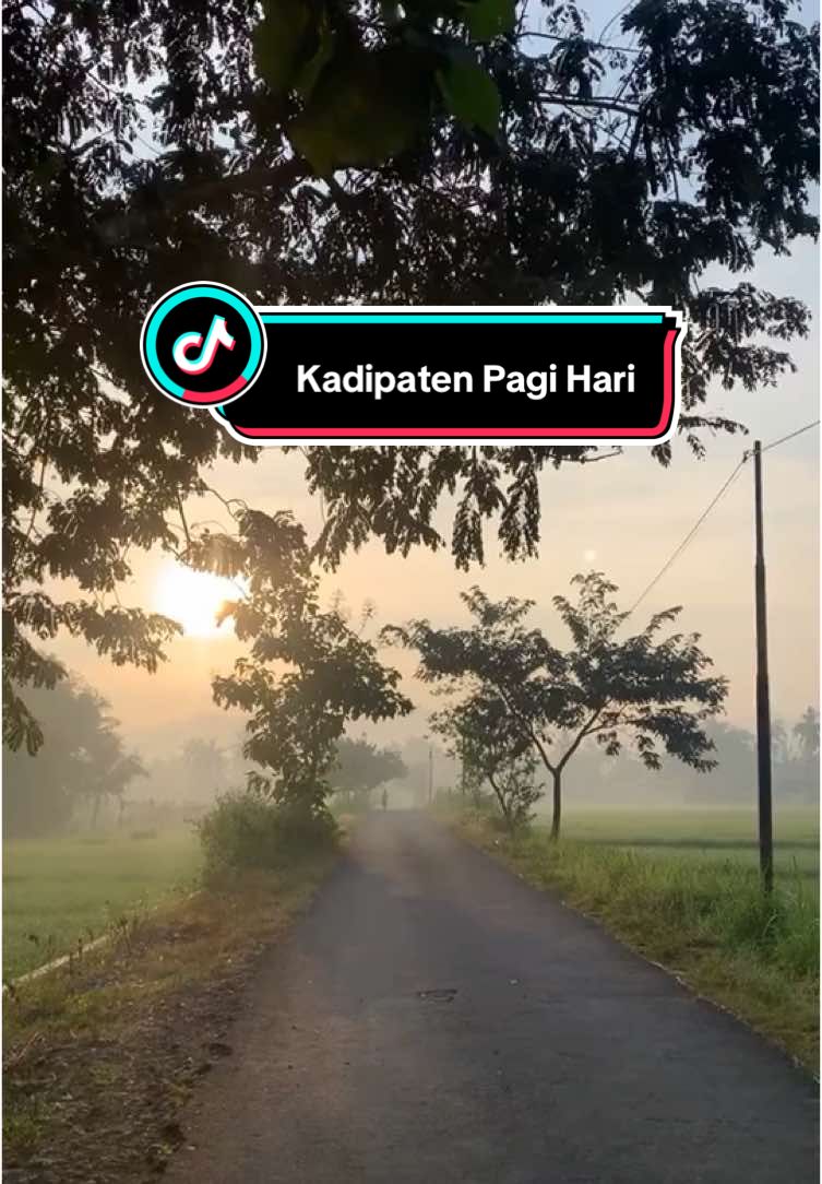 pov : jogging disawah kadipaten pagi hari #gunungkidul24jam #gunungkidul #fypage #fypシ゚ #ponjong #ponjong24jam #jogja24jam #jogjaistimewa #fyp 