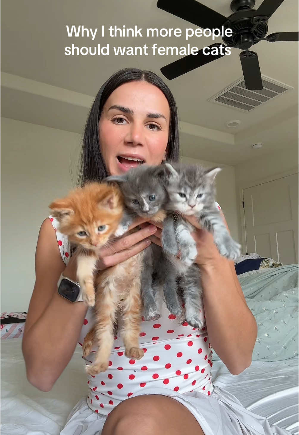 I love the bond that my adult females have with me! Top is from @Princess Polly #mainecoon #kittens #malecat #femalecat #catsoftiktok #kittenlovers #foryou #fyp 