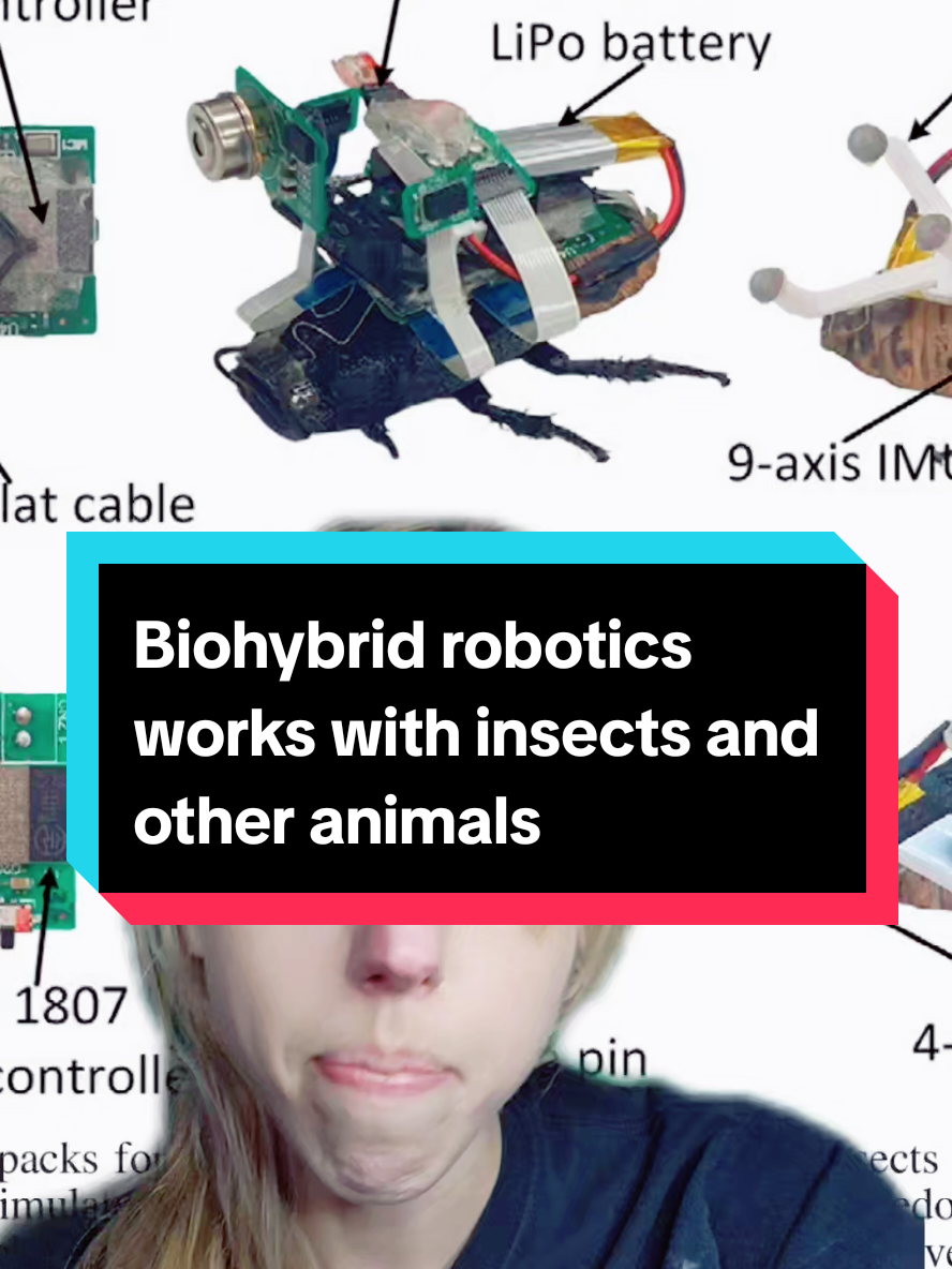 How do you feel about this? #Science #news #explained #sciencenews #ai #robots #robotics #TLOU