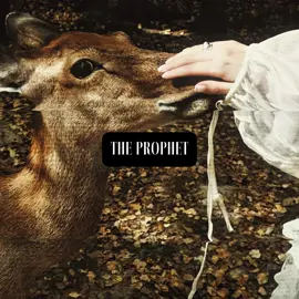 #lottieshauna || the prophet and the butcher. || #yellowjackets #lottiematthews #shaunashipman #butcherqueen #lottieshaunaedit #yj #courtneyeaton #sophienelisse #lottiematthewsedit #foryou #shaunashipmanedit #viral #fypシ #antlerqueenz || @𝐧 𝐚 𝐭 𝐚 𝐥 𝐢 𝐞 🍄 