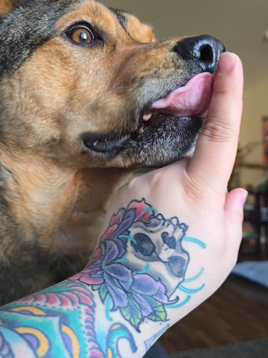 we're having some big feelings today 😭 #dogsoftiktok #dog #cute #Koda #bigfeelings #rescuedog   #fypシ゚  #fyp 