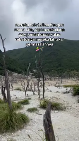 #fypage #hutanmatipapandayangarut #alam 