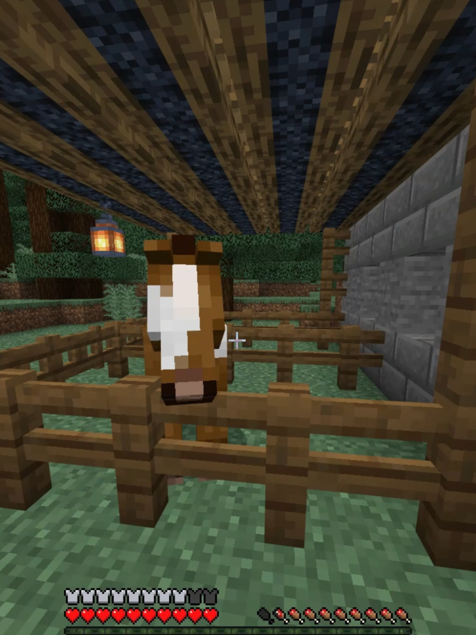 Horse of absolute affirmation and agreement when I try to troll bro's base #Minecraft #minecraftmemes #minecraftbedrock #memes 