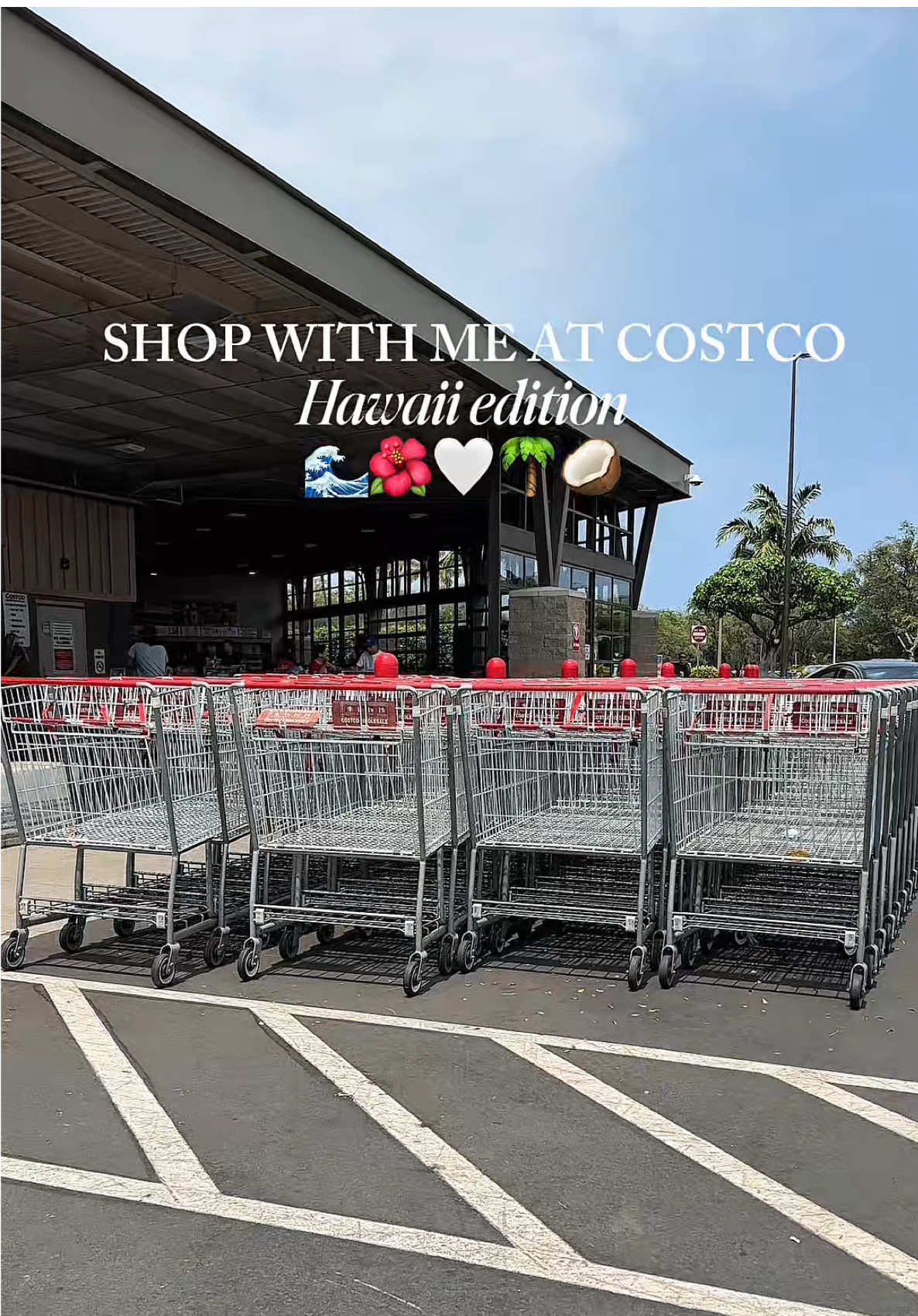 Shop with me at Costco in Hawaii!🌺Getting only Hawaii Costco exclusive food and snacks that we don’t have back on the mainland! Ugh they’re all so good 🤤 #costco #costcohaul #costcohawaii #hawaiicostco #mauicostco #costcohawaiifinds #costcofinds #costcofood #costcotiktok #costcohaul #hawaiifood #hawaiigrocery #hawaiisnacks #hawaiitravel @Costco Wholesale 