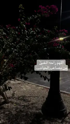 يااارب …🌸