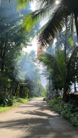 Peaceful mornings like this in the province 🫶🏼🍃 #silago #southernleyte #silagosouthernleyte #fyp #foryoupage #fyppppppppppppppppppppppp #probinsya #province #probinsyana 