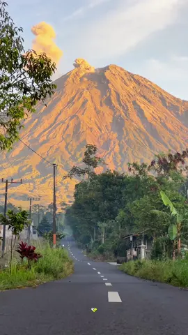 Semeru di pagi hari🌱 Buat kalian yang ingin liburan ke pronojiwo bersama kami link di bio ya😍 #jawatimur #fyp #tiktok #viralvideo #lumajang #erupsisemeru #viraltiktok #tiktok #fyppppppppppppppppppppppp #fypage #fypシ゚ #fypdong 