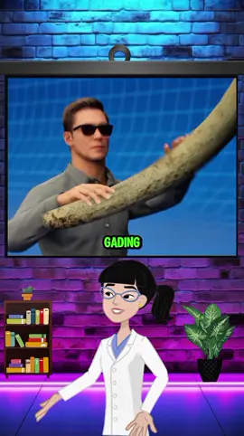 Bentuk gajah di pikiran orang yang buta 🐘 #dark #buta #gajah 