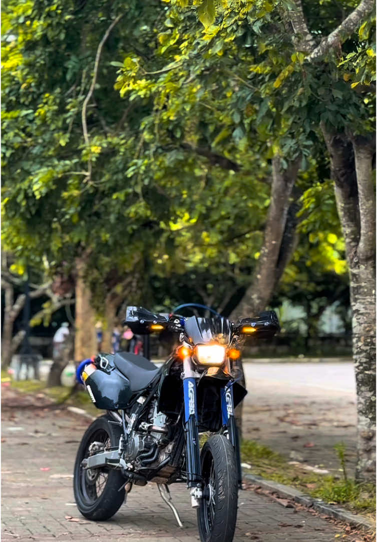 එයාගෙ හැඩ 🥹🖤 #foryou #foryoupage #brandcrazzyyy #newtoy #kawasaki #kawasakidtracker #japanbike #japanbike🇯🇵🇱🇰🏍❤️ #highcapacitysrilanka🇱🇰 #dtracker #trending #CapCut #kawasaki250 #srilanka #viral #trackermodificacion #fyp #fypシ゚ #crazzyyy🖤 
