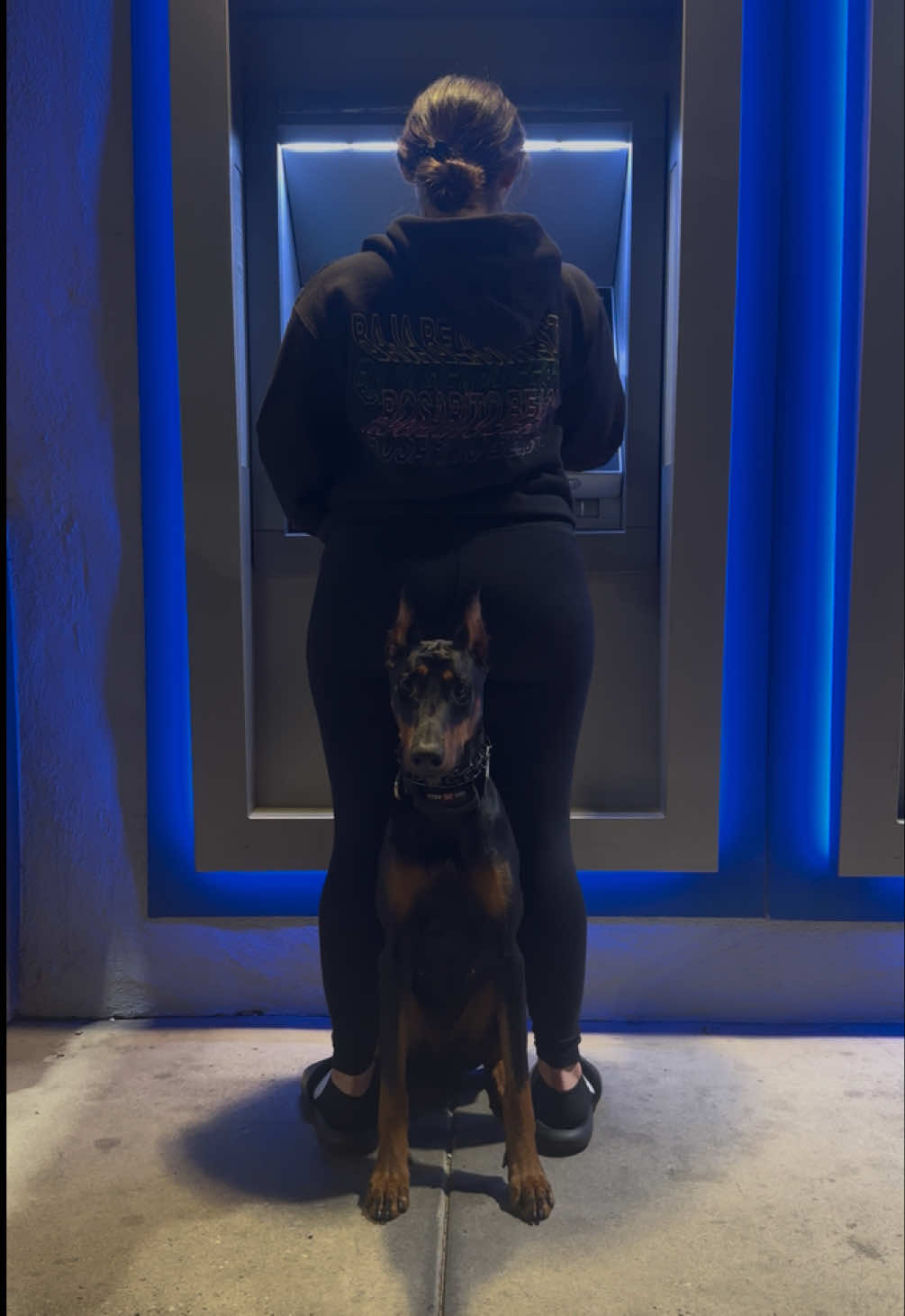 She’s smoll but mighty 🤏🏼🥹 #doberman #runlikeagirl #ppd #sportdog #puppy #dogsoftiktok #dog #dobie #workingdog #training #protectiondog #like #share #trending #trendingsong #fyp #foryou #foryoupage #fypシ #fypage #fypシ゚viral #fyppppppppppppppppppppppp #chase #justagirlandherdog 