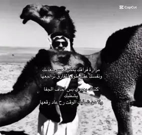 #حمد_السعيد #اكسبلورexplore #🤍🤍 