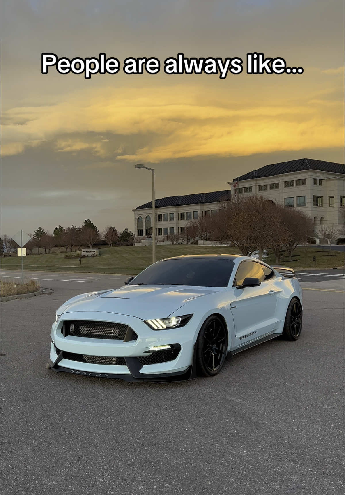 Debatable i suppose 🤔🤔 #cars #gt350 #shelby #boosted #catless #loud #fast #sky #america 