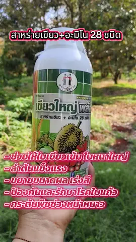 เขียวใหญ่พลัส#สาหร่ายเขียวบวกอะมิโน 28 ชนิด#เทรนด์วันนี้ #parza shop