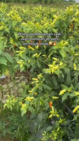 🤭