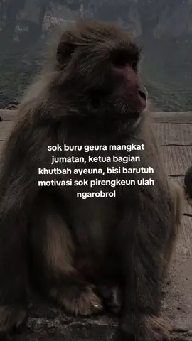 sok buru marangkat #capruk #storysunda #atuheuy 