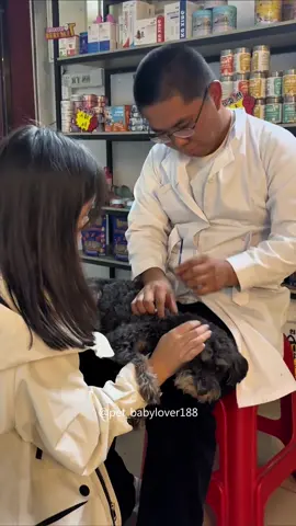 It’s crazy how all species have the same sentiment for the doctor 😭🤣#dog #dogsoftiktok #dogs #funny #doglover 