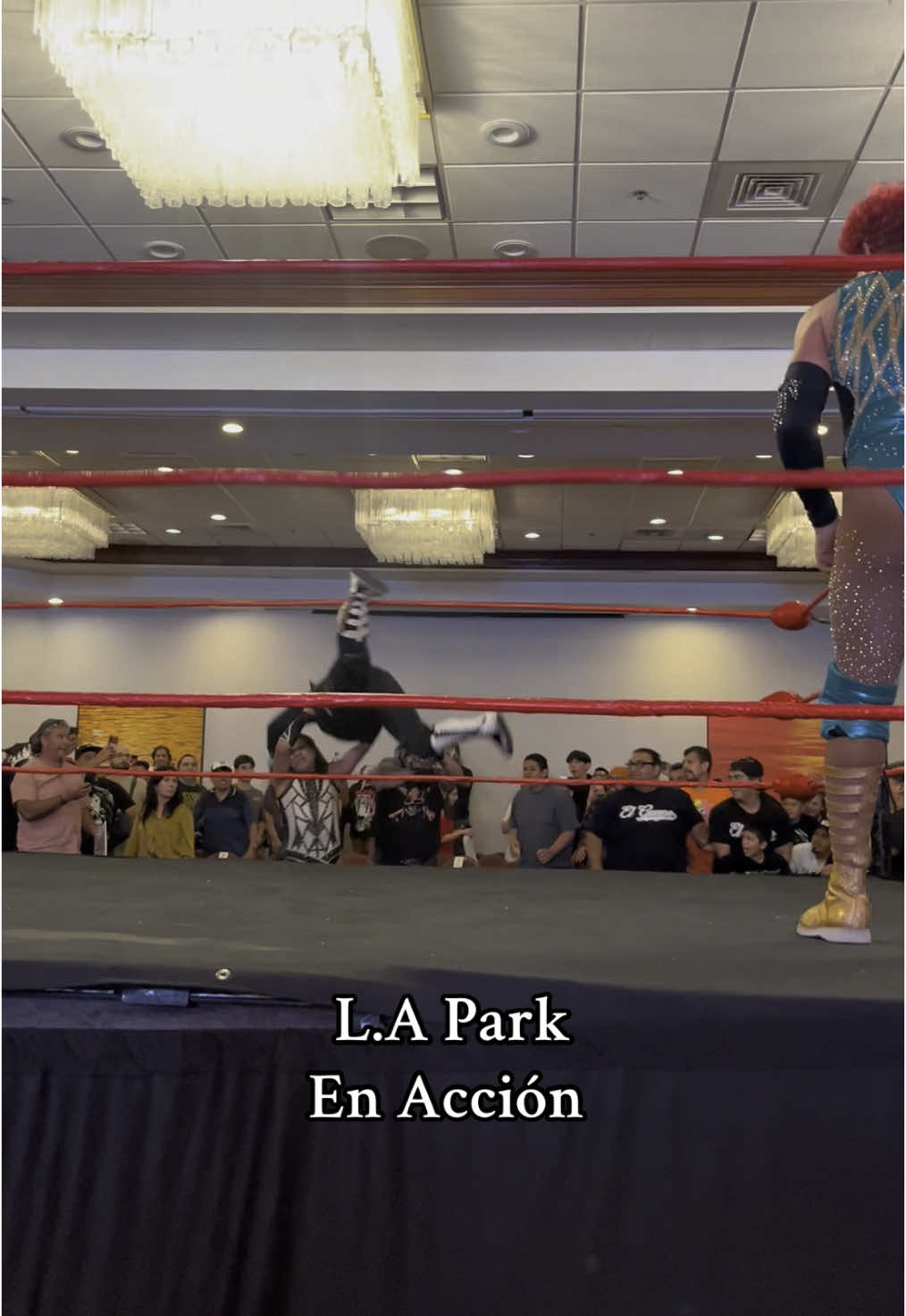 La parka in wcw, now known as L.A Park one of many legendary luchadores #laparka #lapark #laautentica #laautenticaparka #adolfotapia #luchalibre #leyenda #wcw #mlw #ecw 