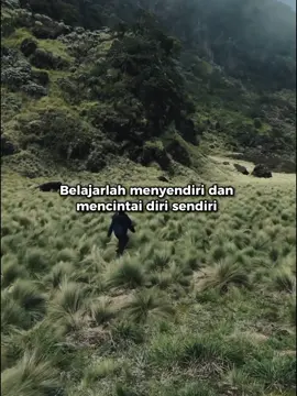 #CapCut 