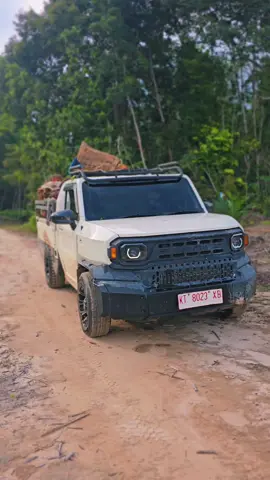 🫣#sawitkalimantan #sawitontiktok🌴🌴 #hiluxrangga #hiluxchamp #toyota 