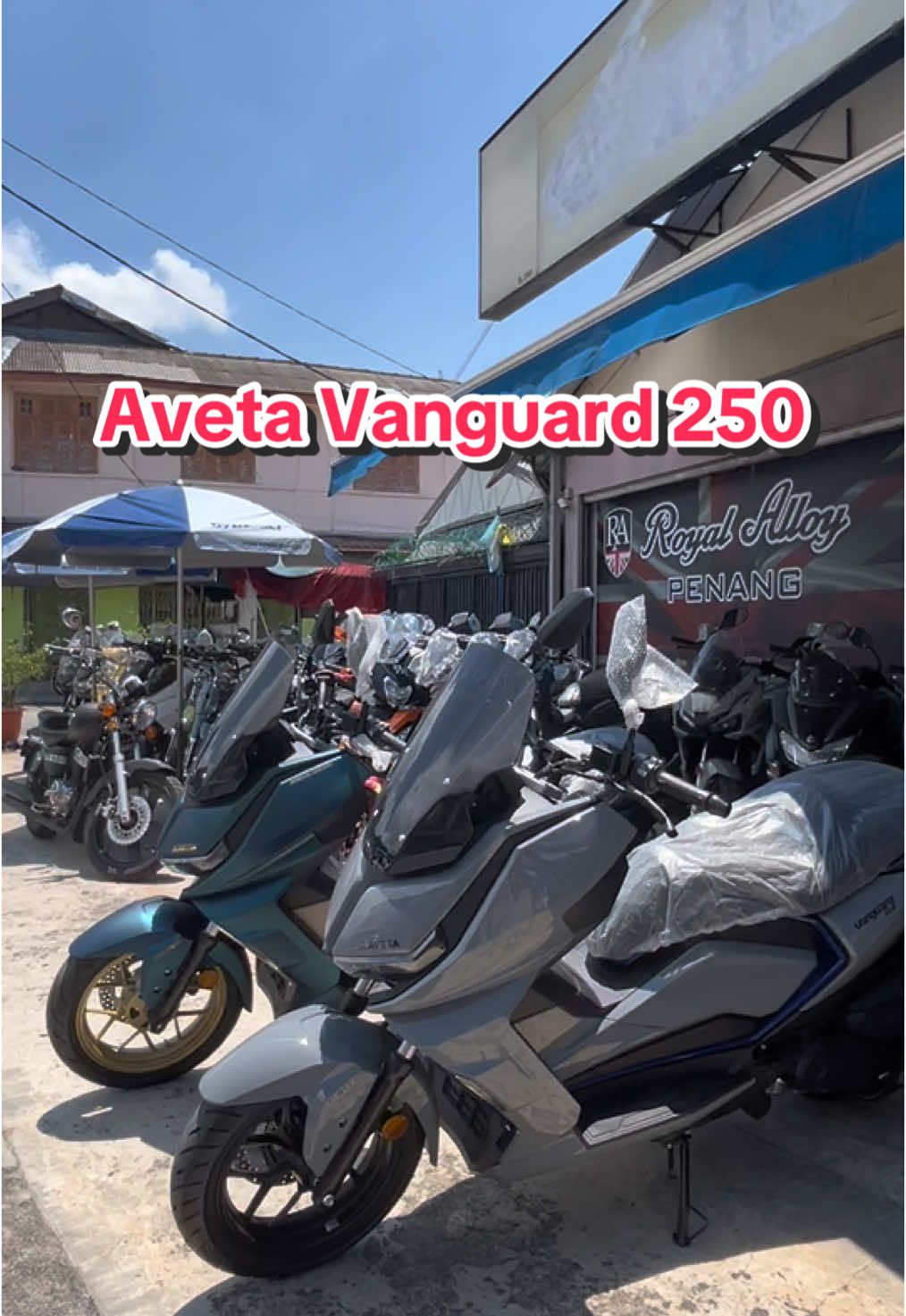 Aveta Vanguard 250 Gais 🔥 Scooter 250cc #aveta #avetamalaysia #avetavanguard250  #avetavanguard250se  #vanguard250 