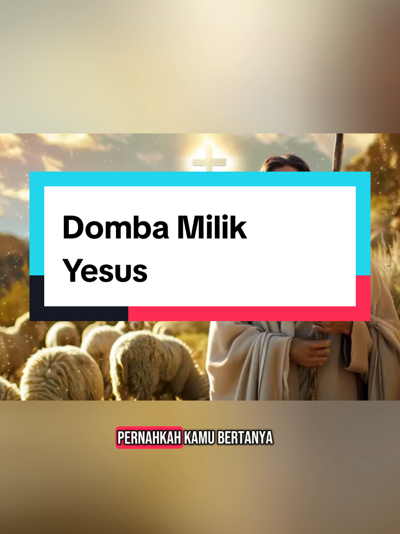 mengapa kita disebut domba? karena domba itu lemah,  mudah gelisah, tidak punya senjata untuk mempertahankan dirinya dari pemangsa,  domna hanya punya rmosi dan 2 telinga untuk mendengarkan suara gembalannya saja.  #dombayangtersesat #domba #dombaallah_ayatalkitab #mengapakitadisebutdomba  #yesus #yesuskristus #yesusbaik #themost_high 