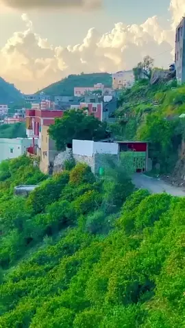 مناظر من الغاله بفيفاء