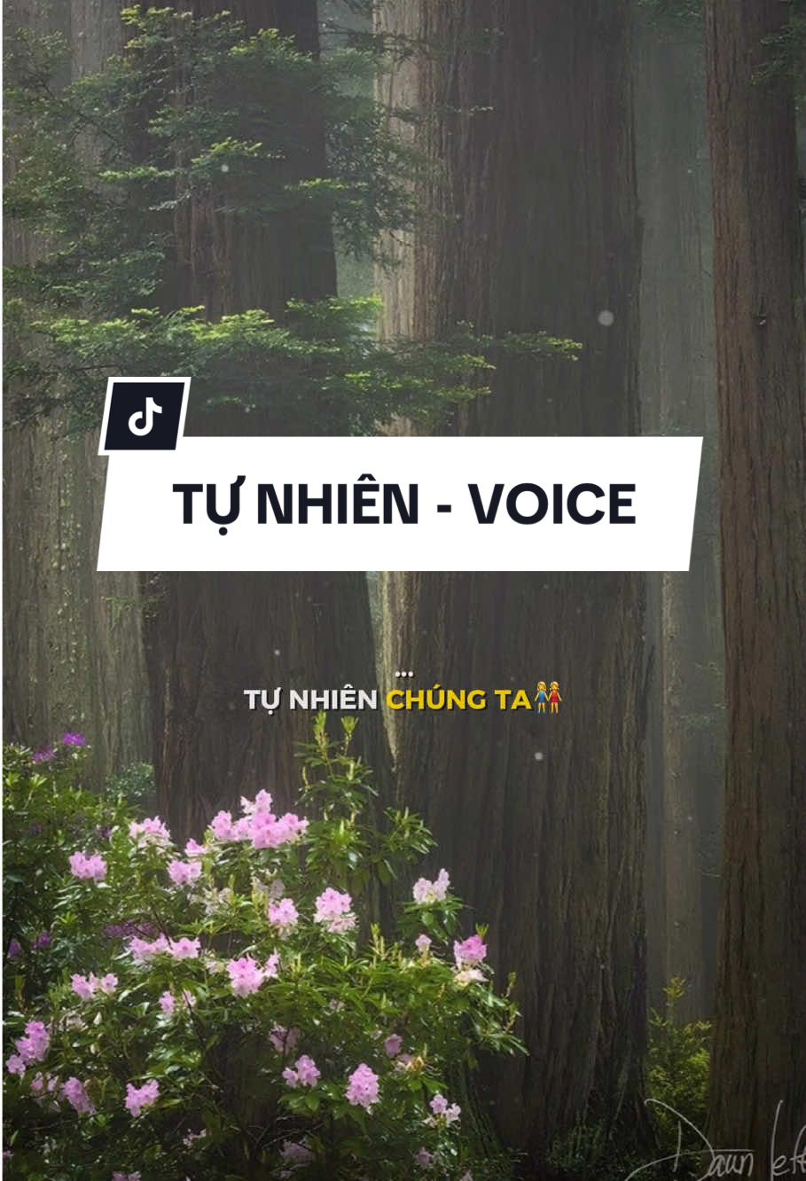 Tự nhiên chúng ta như loài chim gieo vui và vẩn vơ trước nhà #tinhyeulagi #tranthinhh #dziuu #lyrics #nhachaymoingay #music #song #nhacchill #viral #xuhuong #CapCut #daisucctt #fyp 