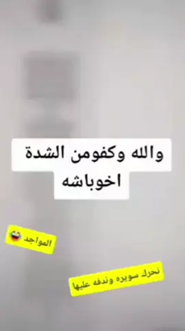 هاا المواجد شلونكم 😂😅#البوغنام_النوافل_البوبخيت_البوسليمة #البومحمد_باشات_العماره👑🖤 #البومحمد_اخوة_باشا #الشده_النوافل_الببخيت_البغنام_البو #البغنام_النوافل_الببخيت_البسليم #ال_خريعه✌️ #اخوة_باشا 