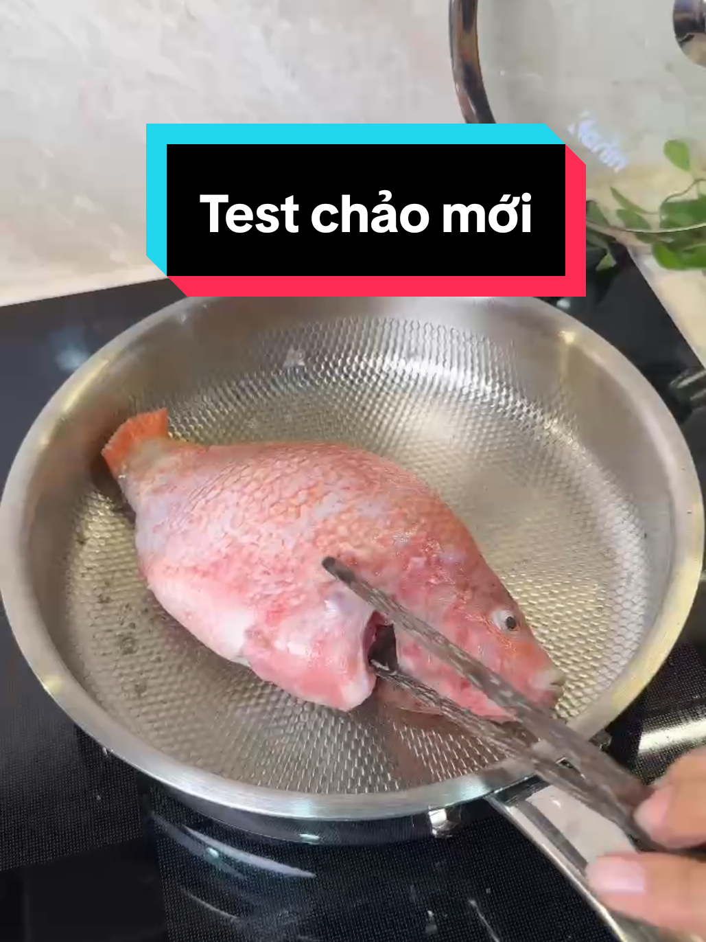 Chảo inox mới về G20-24-26 Pro, vân lục giác, chống dính siêu mê luôn ạ 😍 #xuhuong #chaoinox #chaochongdinh #karlin 