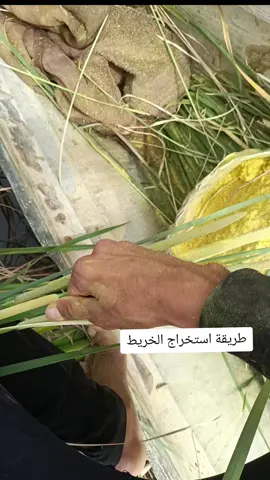 طريقة استخراج الخريط #الشعب_الصيني_ماله_حل😂😂 #الشعب_الصيني_ماله_حل😂😂 #الشعب_الصيني_ماله_حل😂😂 