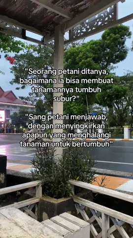 Tumbuh itu bukan soal pupuk saja, tapi juga membasmi hama. #xyzabc #4u #quotes #filsafat 