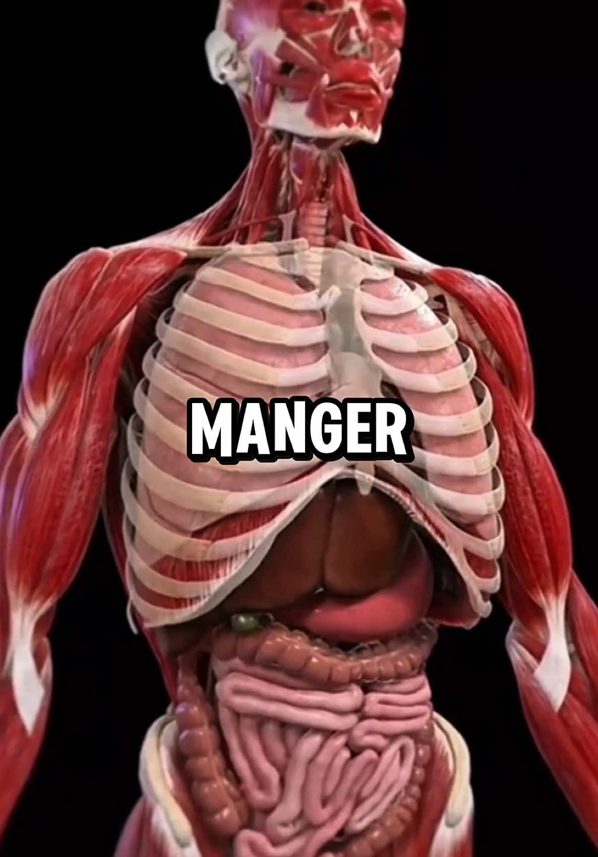 Et si tu arrêtais de manger pendant 24h ? Ton corps change, ton mental se réinitialise, ta volonté est testée. Je me suis lancé dans un défi extrême : 24h sans une seule bouchée. Spoiler : ce que j’ai ressenti à la fin m’a choqué. Est-ce que tu serais prêt à tenter ça aussi ? #Défi24H #JeûneIntermittent #Transformation #SantéHomme #MentalDeFer