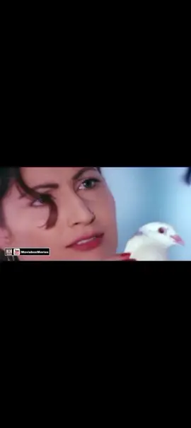 #sama#noor#♥️♥️♥️💯💯💯 