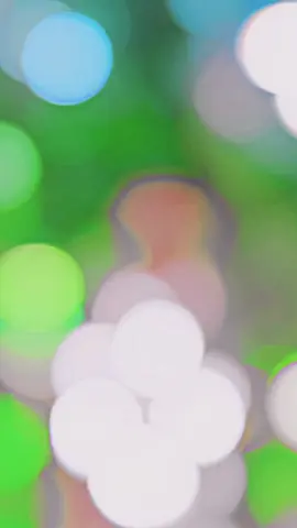 Hum dust 🥹😓#foryou #viral #foryoupage #viralvideo #fyp #viraltiktok #trending #viral #fyp #skromjanonfire #viralvideo #bast #unfrezzmyaccount #@For You #@TikTok #@TikTok Bangladesh #@༄Mᴿ〆romjanツ࿐ 