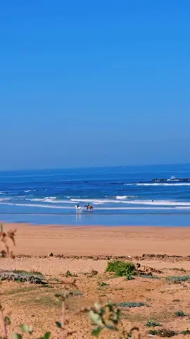 #Oceanviewfyp #beachlifeFyp # 🌞 🌊🌊 😎✌️🕊