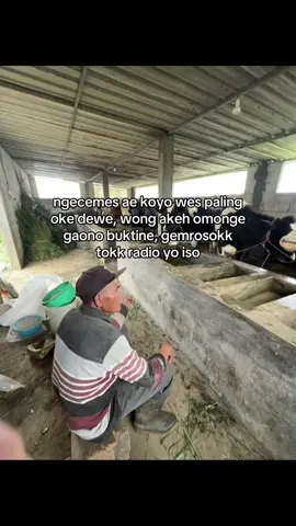 #4u #sobatngaret #peternakmuda #storytime #foryeupage #xyzbcafypシ 