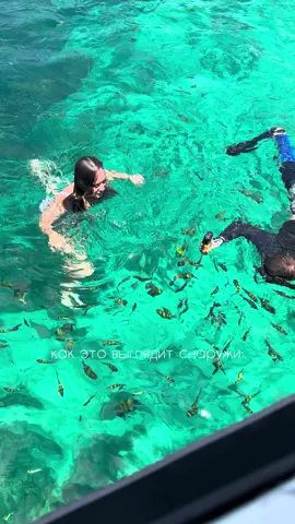 это лучшее, что мы видели… 🐠🪸🐚