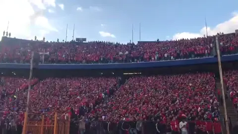 #الليله_مش_هزار_افريقيا_ياابطال🥹🤲🦅 #الاهلي #ahly_love #الاهلي_صن_داونز #الرتش_فى_زمه_الله💔 #fyppppppppppppppppppppppp #تصميم_فيديوهات🎶🎤🎬 