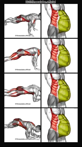 ✅ Plank Workout  ① Plank Jack ② Mountain Climber  ③ Spider Pkank ④ Hip Roll Plank  3 sets 15-20 reps  #Fitness #gym #exercise  #workout #workoutroutine  #exercisetips  #fitnesstips  #bodybuilding  #abs #absworkout 