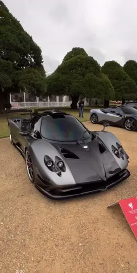 A one of one Paganini… #fy #fyp #viral #pagani #zonda #zondaoliver #oneofone #car #auto #grey #carmeet #caredit #edit 
