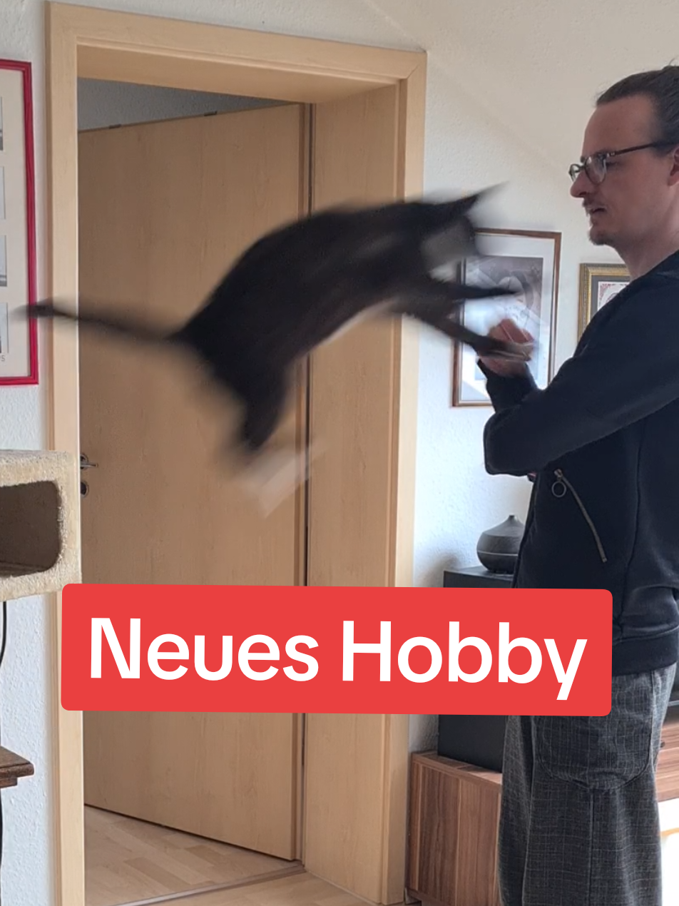 Katzensprung des Vertrauens 