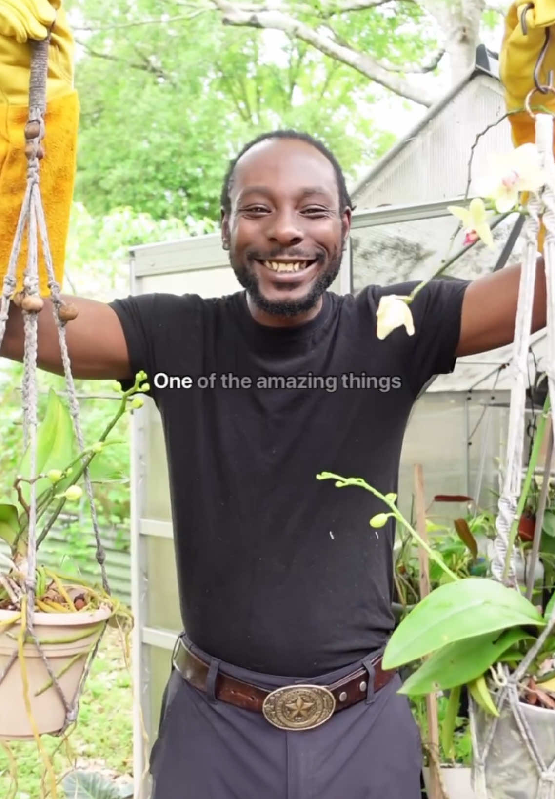Who else loves orchids? ✋🏾 #orchids #greenhouse #squirrels 