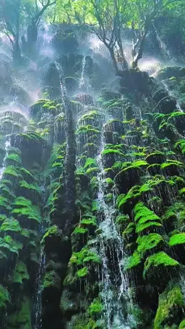 ရှမ်းပြည်တောင်ပိုင်း ရွာငံမြို့နယ် မြိုင်စံပြကျေးရွာထဲက ဂဏန်းကျရေတံခွန်🌊🌲🌳🖼🇲🇲💓 📷အရှင်ကုသလာလက်ာရ📷 #ဂဏန်းကျရေတံခွန် #မြိုင်စံပြကျေးရွာ  #ရွာငံ #ရှမ်းပြည်တခွင်🌲 #ရှမ်းပြည်တောင်ပိုင်း #ရှမ်းပြည်သဘာဝအလှများ #nature #myanmartiktok🇲🇲🇲🇲 #မြန်မာအလှ🇲🇲🇲🇲🇲🇲🇲🇲🇲🇲🇲🇲 #shinpannyar🖼 #news #views #1m #foryoupage #fyp #ywarngan #အရှင်ကုသလာက်ာရ