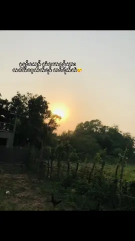 တစ်ရက်ဘဲ😮‍💨#ဒီတစ်ပုဒ်တော့fypပေါ်ရောက်ချင်တယ် #viewerတွေရှယ်ကျ😕 #ရောက်ချင်ရာရောက်စမ်းကွာ #fypシ゚viral🖤tiktok 