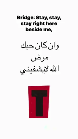 الحب حقيي#foryou #اكسبلور #جمالك #t ##tar #مالي_خلق_احط_هاشتاقات 