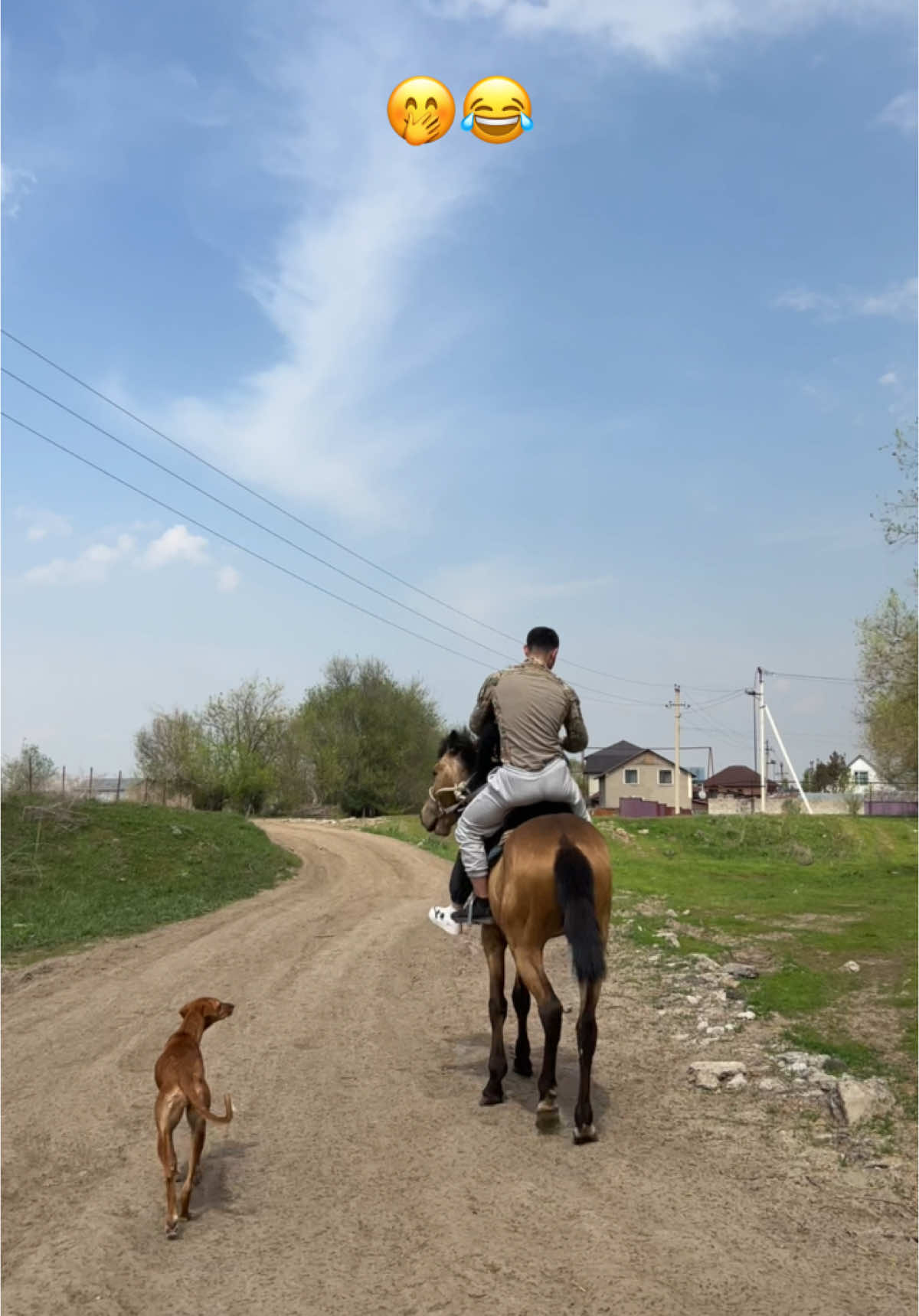Атпен серуен🐎 Мекенжай: Алматы қаласы, Жаркент 25 көшесі Байланыс: +7 747 950 8334 ⠀ Бронь мен толық ақпарат үшін хабарласыңыз!🥰