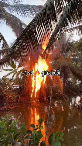 🔥 giữ chuỗi #xuhuong #lửa #tiktok 