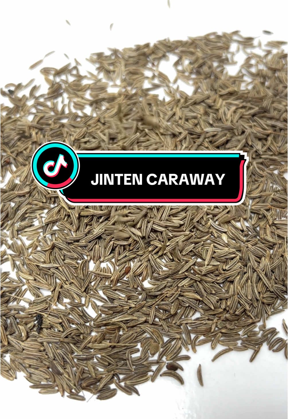 baru nih, rempah jinten caraway bisa juga sebagai herbal ya gengs! yuk cek deskripsi kita jangan lupa checkout👇🏻👇🏻  #jinten #jintencaraway #caraway #carawayseed #seeds #seedcaraway #lam88 #bumbumasakan #sup #fyp #fyppppppppppppppppppppppp #fypシ゚ #viraltiktok #tiktokfyp 