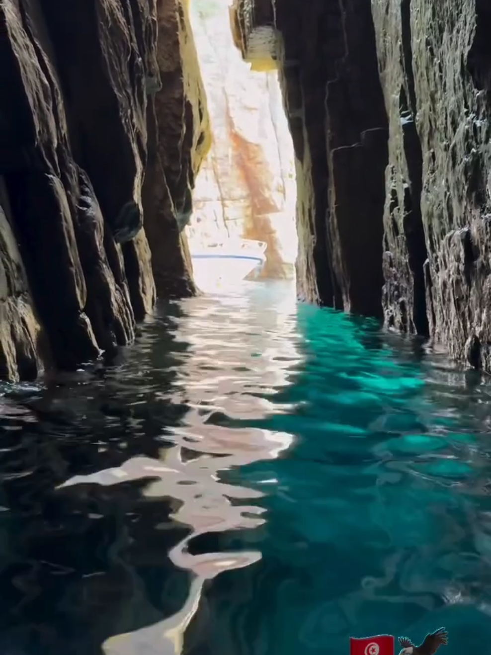 Sailing into paradise—crystal waters, chill vibes, and unforgettable views. Your perfect escape starts here! #HaouariaEvent #BoatTripTunisia #BeachVibes #Haouaria #SeaAdventure #SummerEscape #TunisiaTravel #MediterraneanVibes #BoatLife #NatureLovers #WeekendGetaway
