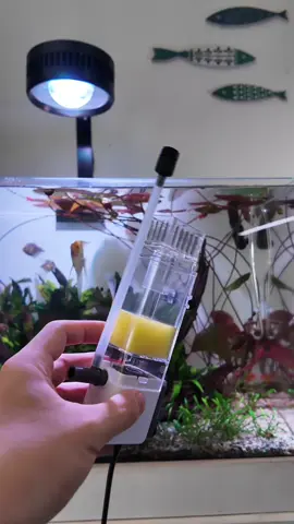 lọc đa năng 3 in 1 nhà sobo #guppyxanhvn #guppyxanh #cacanh #thuysinh 